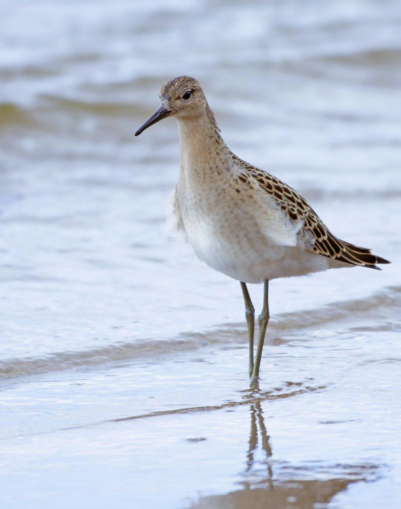 Фотография автора Садыков