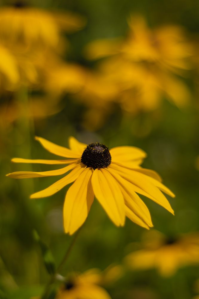 Photograph by Ксения Малютина