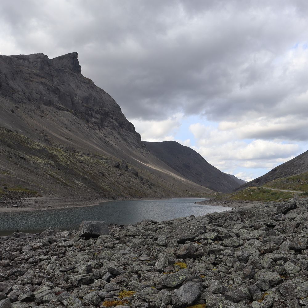 Photograph by Irina Alexandrova