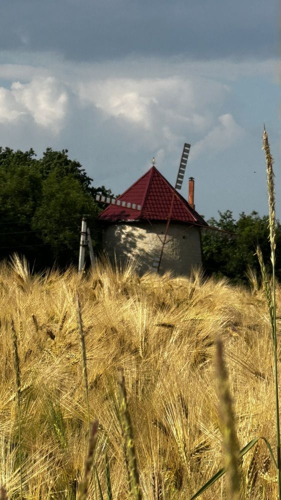 Фотография автора Ольга Полякова