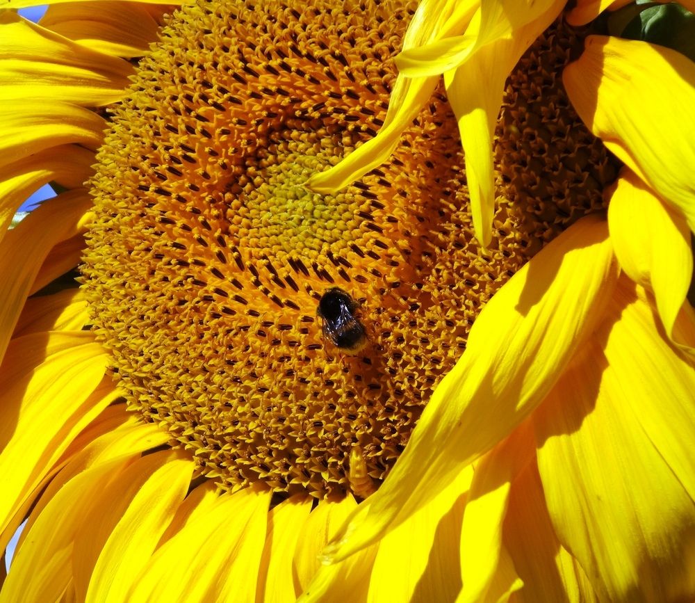 Photograph by IRINA KORNEVA