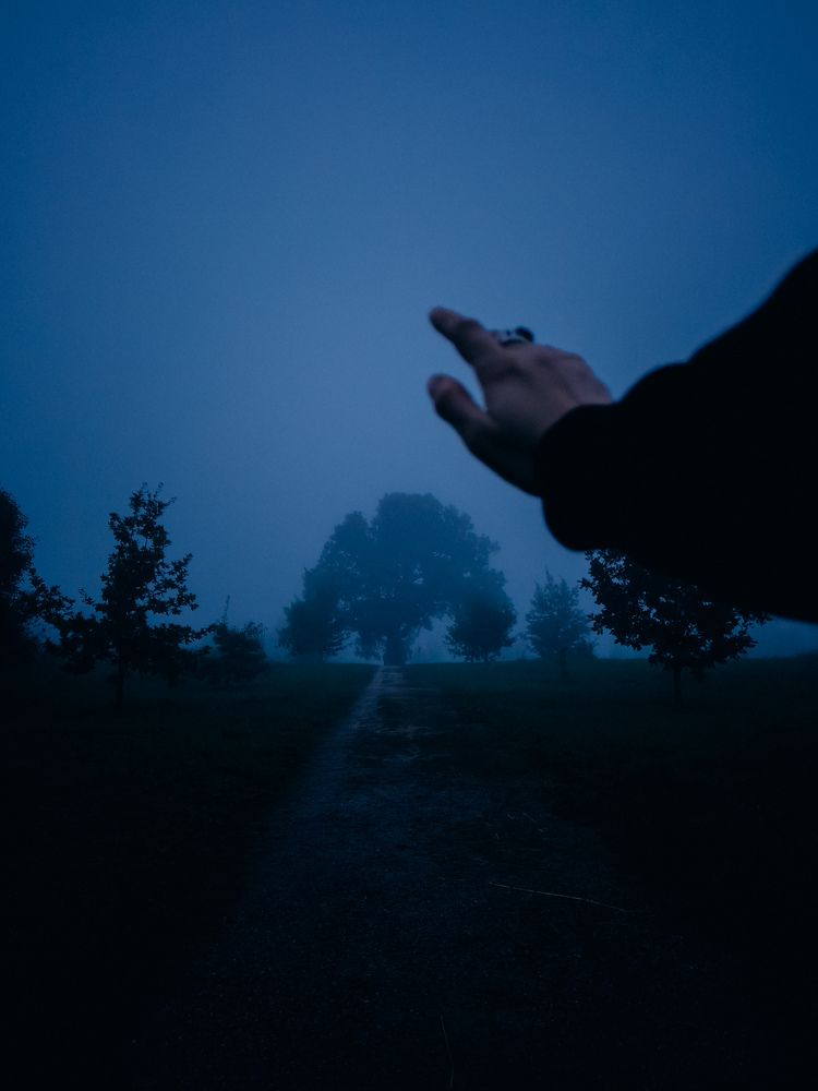 Photograph by Алиса Нежинская