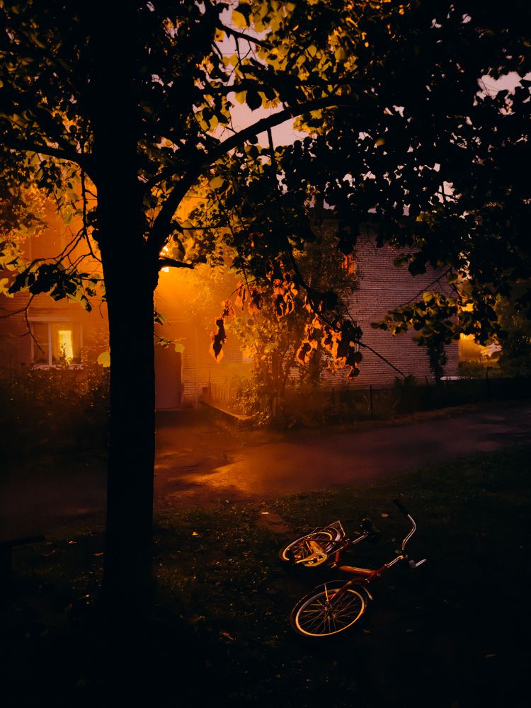 Photograph by Алиса Нежинская