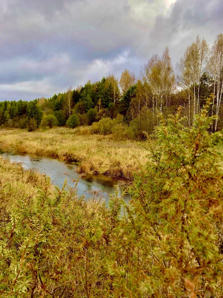 Photograph by Белехова Светлана