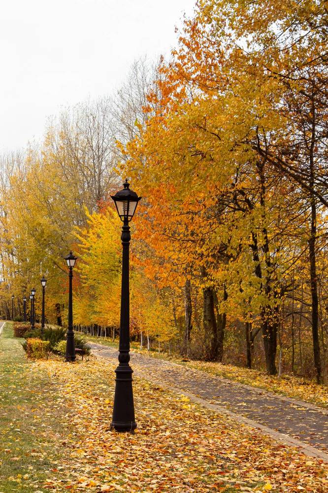 Фотография автора Ольга Войтехович