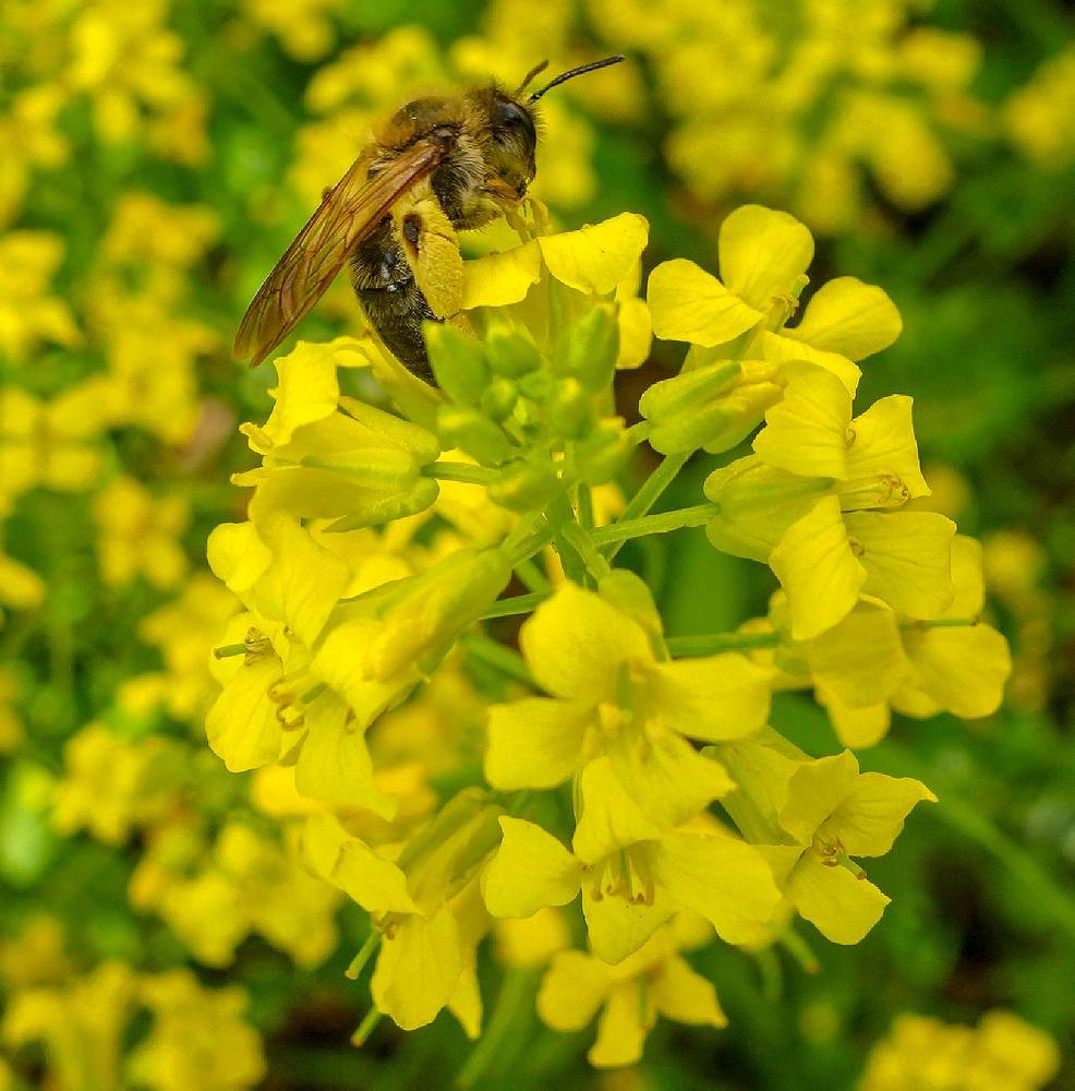 Photograph by IRINA KORNEVA