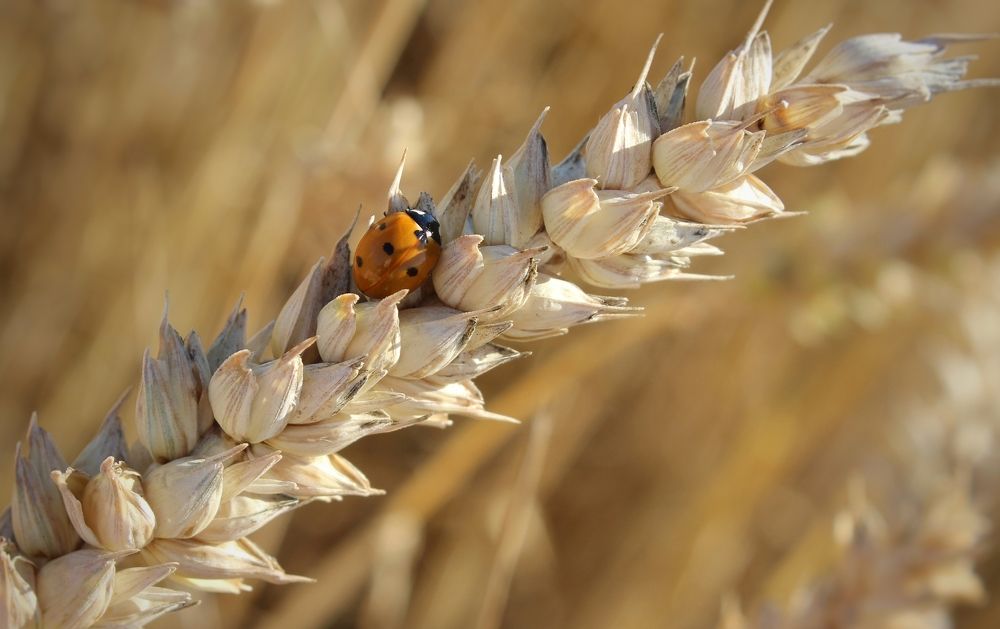 Photograph by Татьяна Сычёва