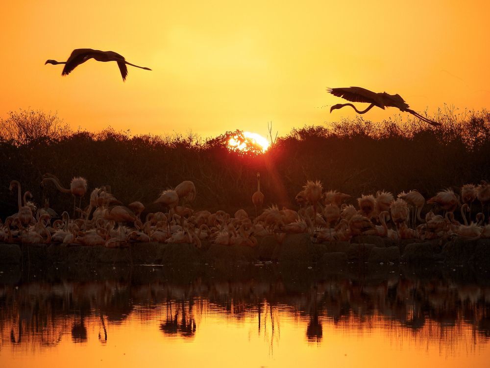 Photograph by fabio chiari