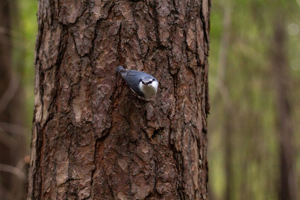 Photograph by Юлия Ковешникова