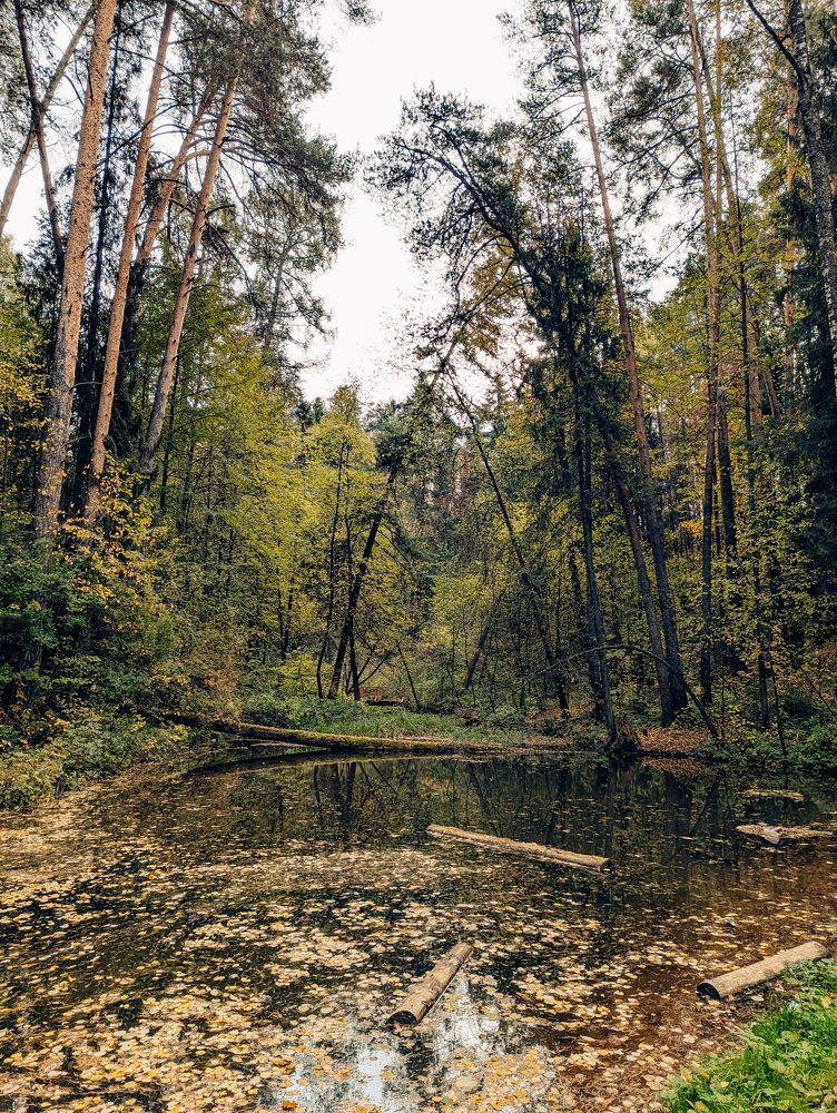 Фотография автора Мария Михайлова