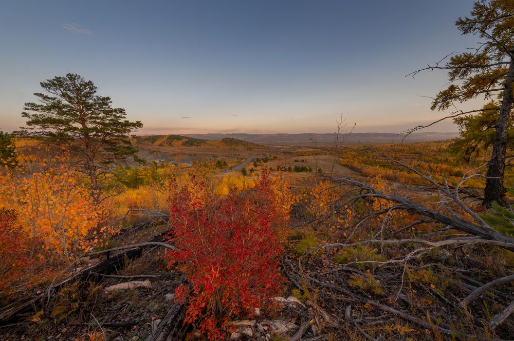 Photograph by Алексей Гончаров