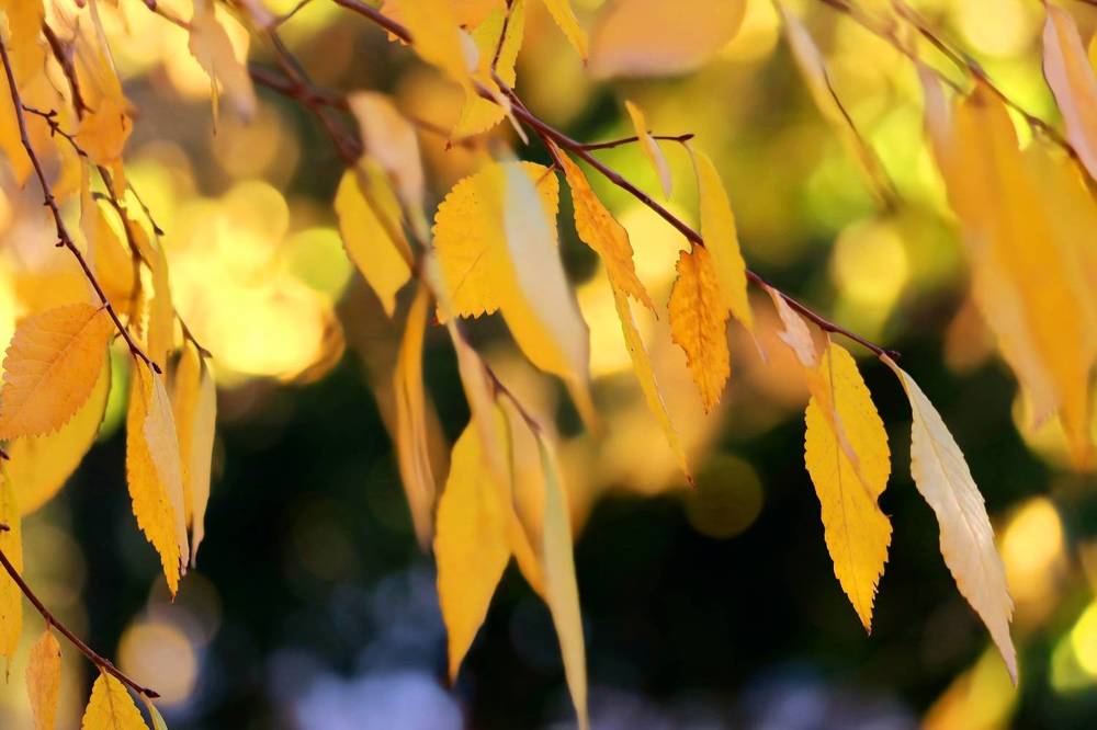 Photograph by Babak Akvan