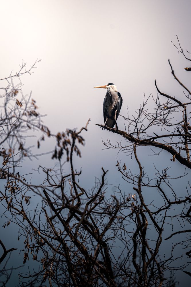 Photograph by Eva Daučíková