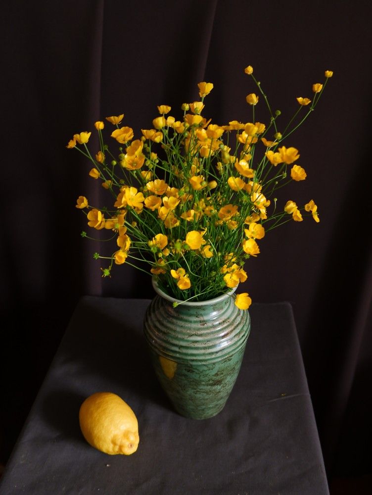 Натюрморт с лютиками.