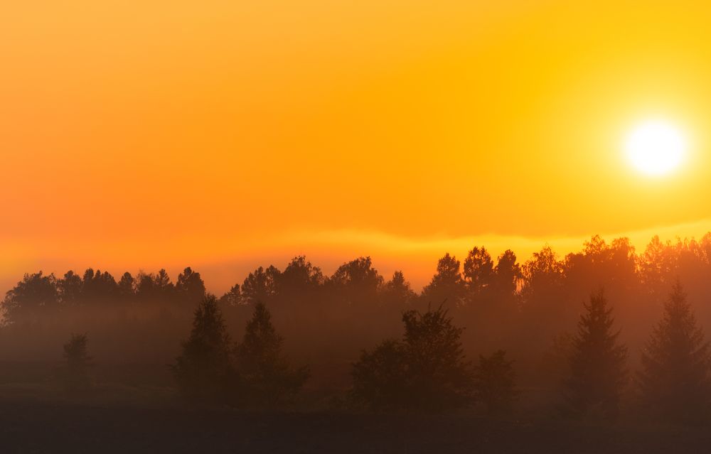 Фотография автора Григорьев Константин