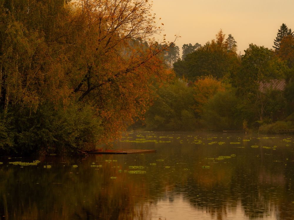 Фотография автора Юрий Володин