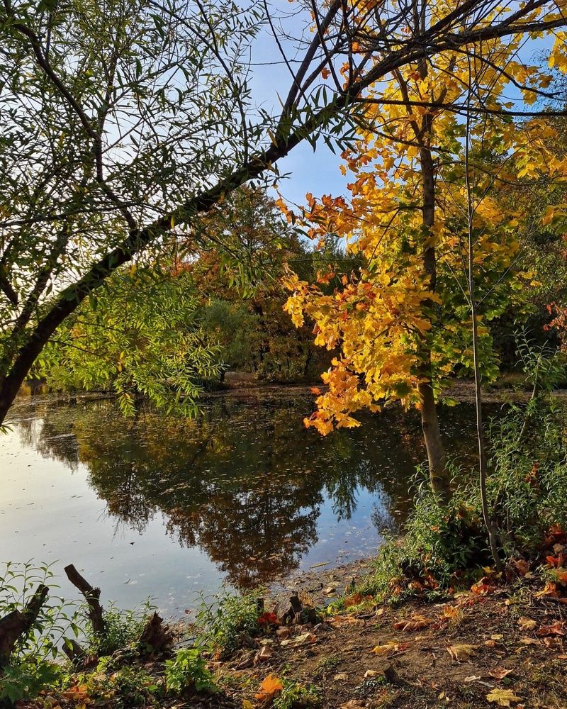 Photograph by Людмила Григорьева