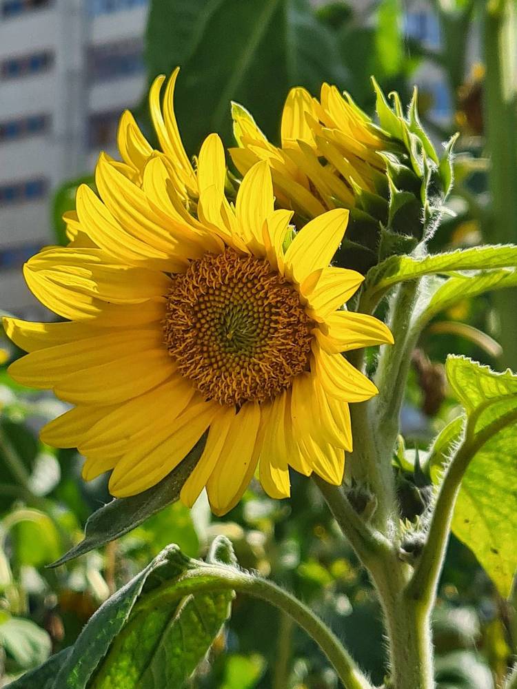 Photograph by Людмила Григорьева