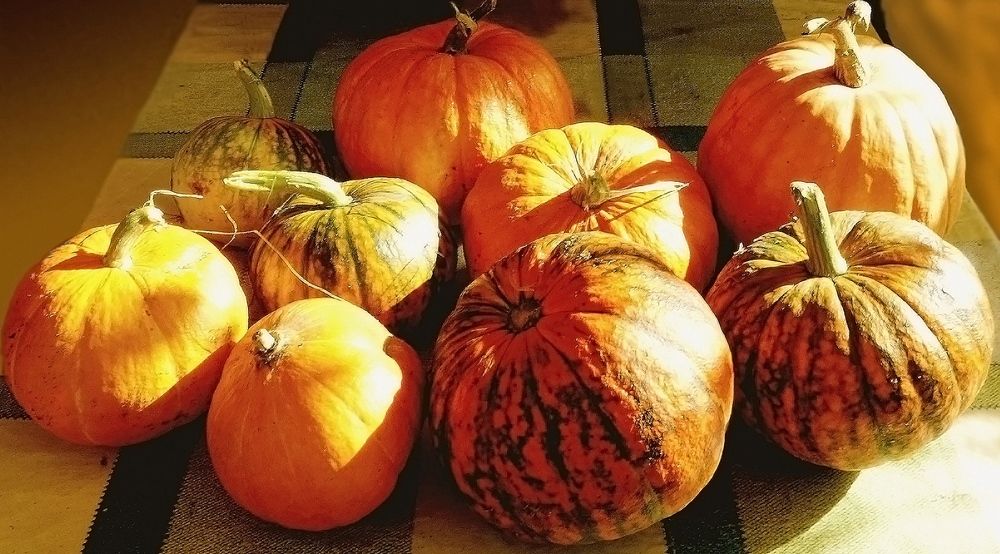 Photograph by IRINA KORNEVA