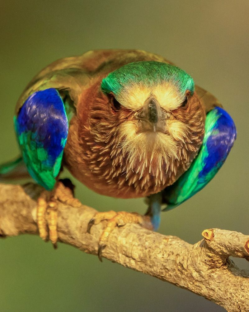 Photograph by Юлия Кондратьева