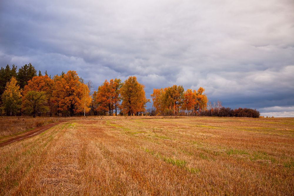 Photograph by Алëна Проскурякова