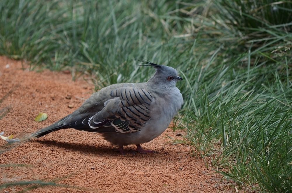Photograph by Marianna Zakirova