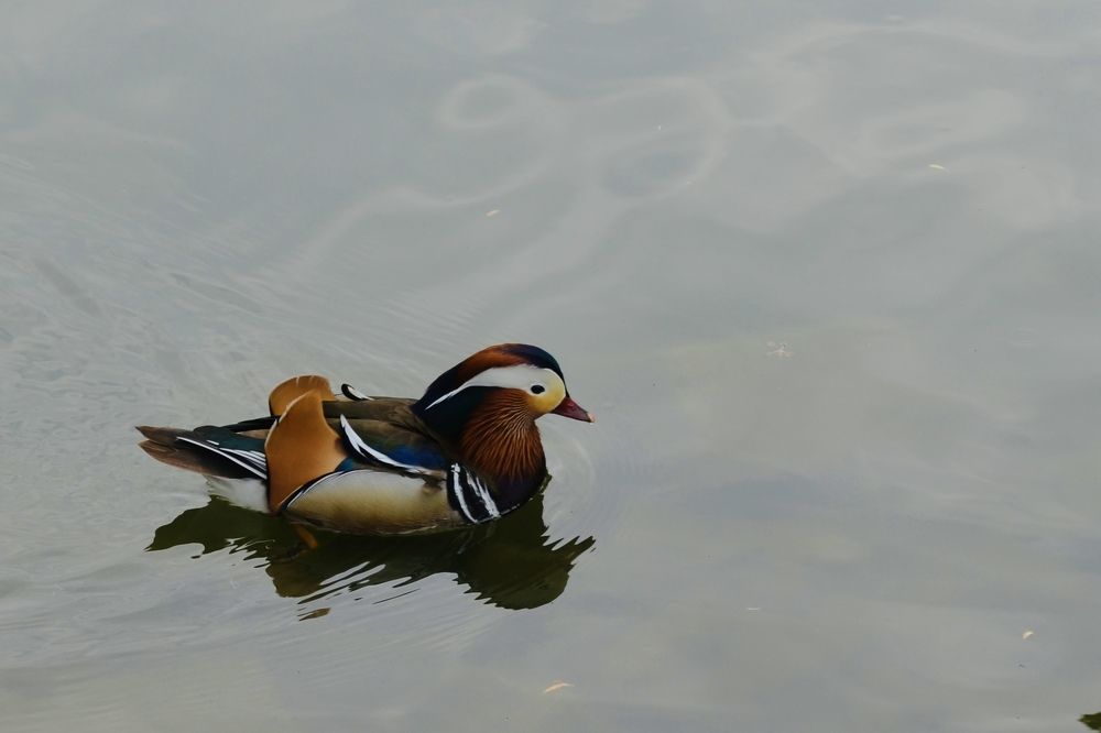 Photograph by Marianna Zakirova