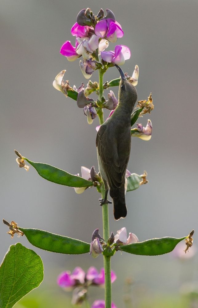 Photograph by Shadab Ishtiyak