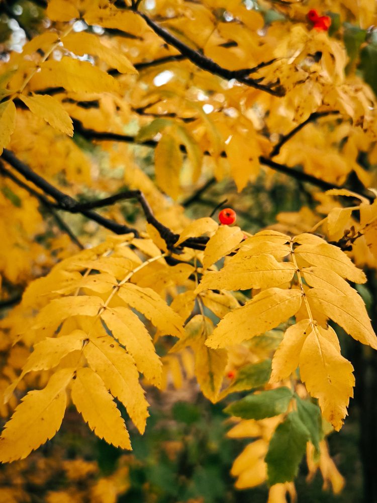 Photograph by Ольга Денисова