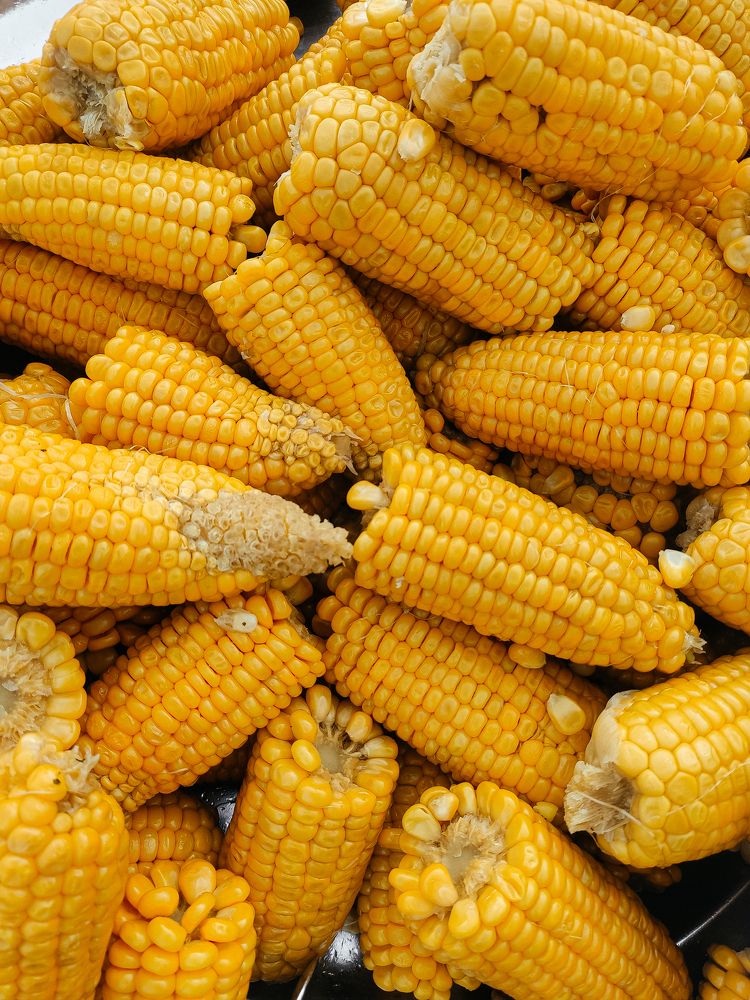 Photograph by Ольга Денисова