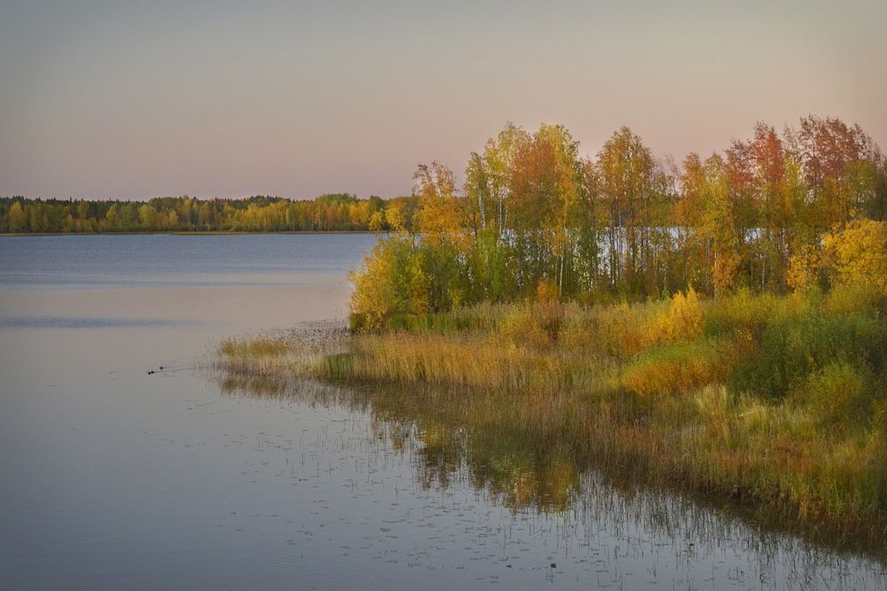 Photograph by Соколова Елена