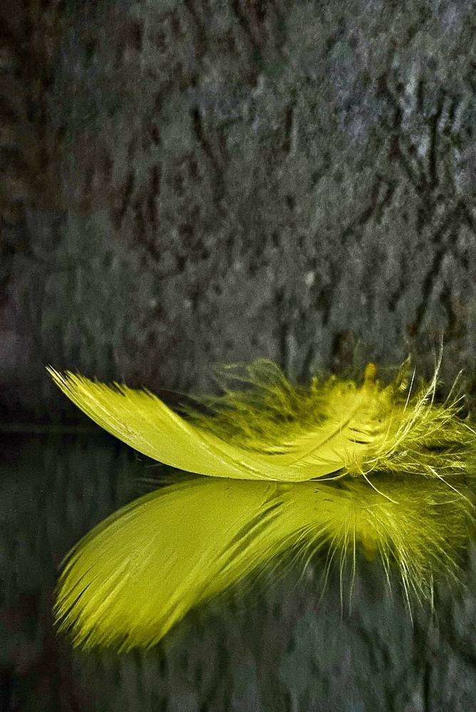 Фотография автора Ольга Полякова