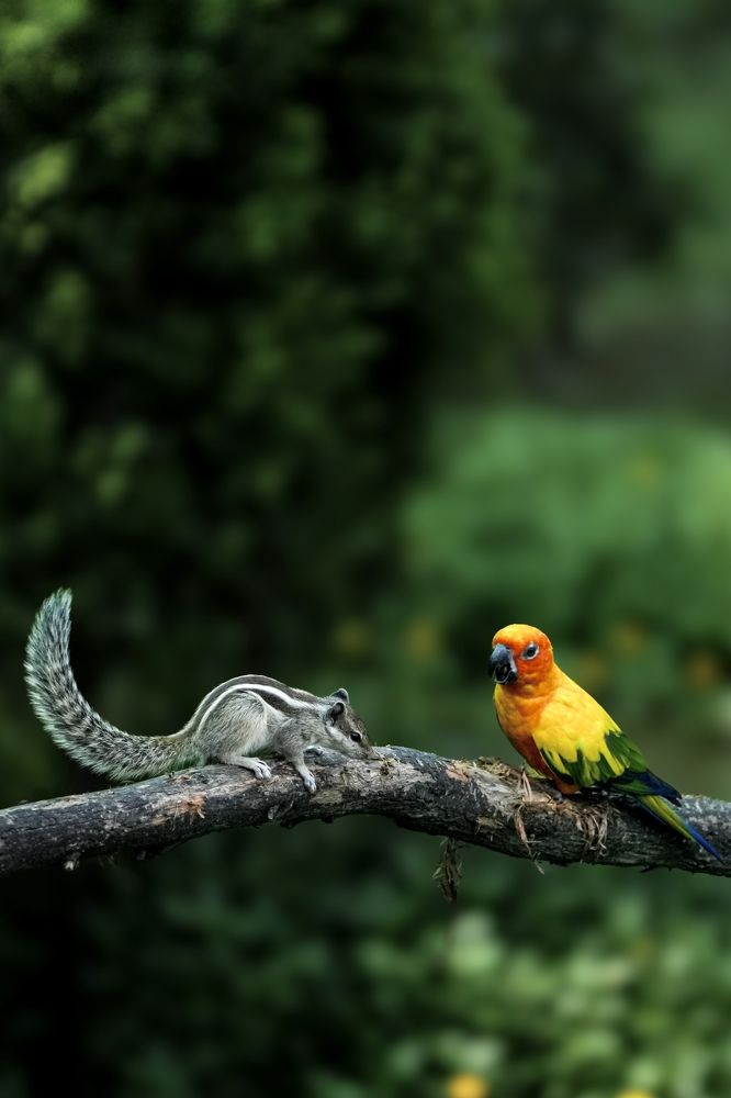 Photograph by Nitin Srivastava