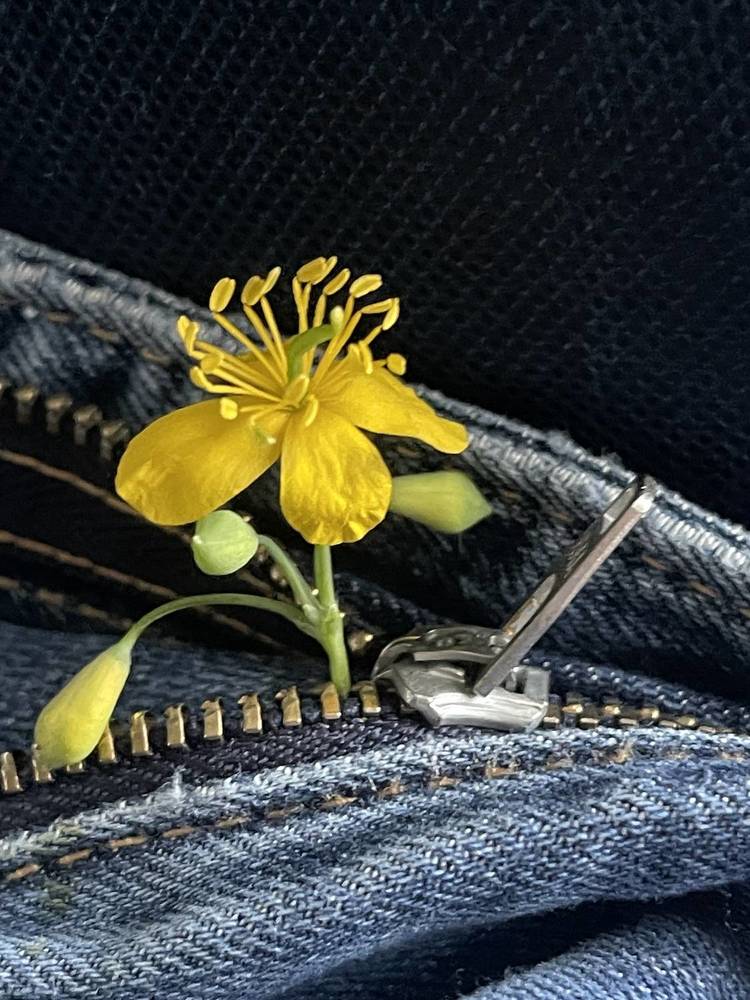 Фотография автора Ольга Полякова