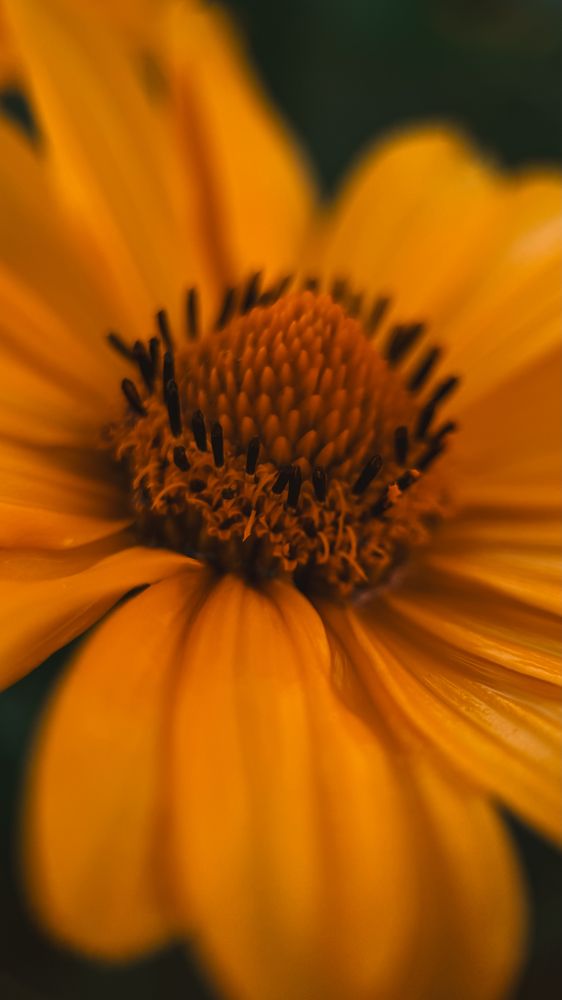 Photograph by Наталья Алфёрова