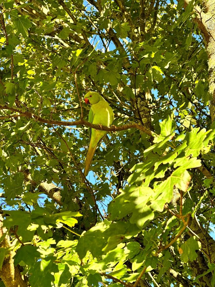 Photograph by Лидия