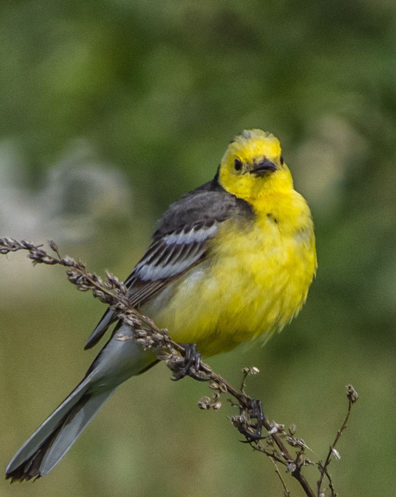 Photograph by Цветков Сергей