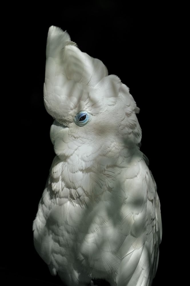 Photograph by Nitin Srivastava