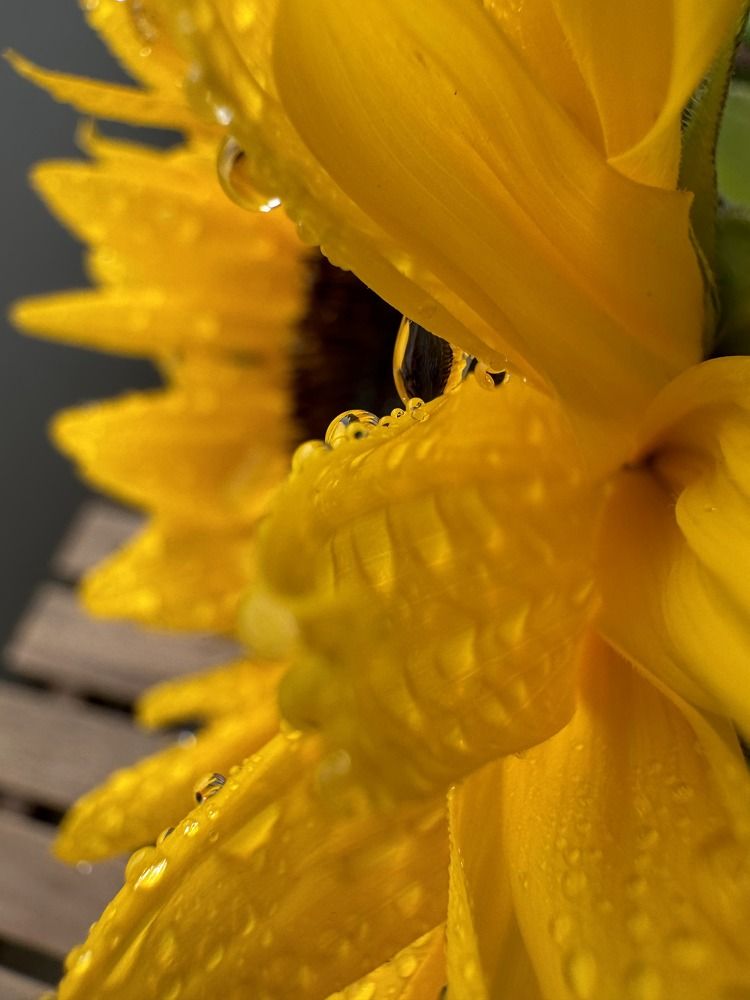 Photograph by Marianna Zakirova