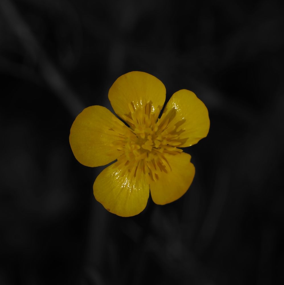 Photograph by Dragos Ivanel