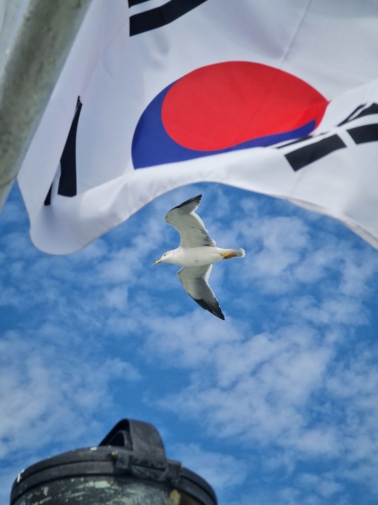 Фотография автора Al .Elf