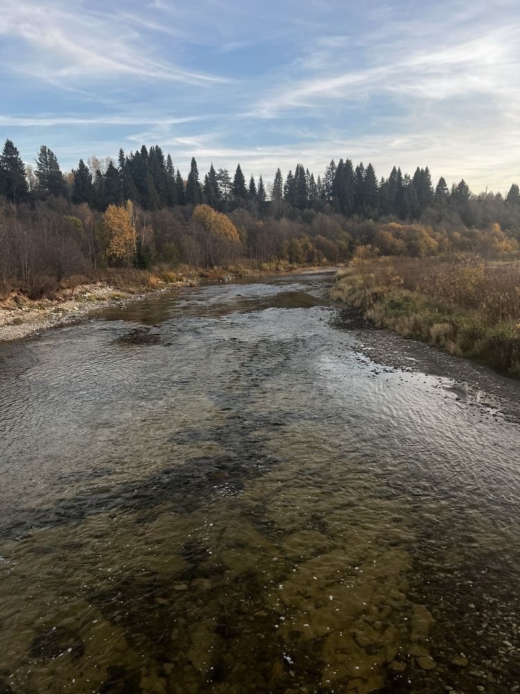 Photograph by Ольга