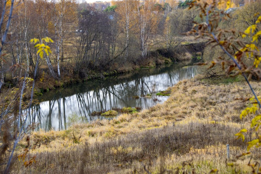 Photograph by Дария Ризниченко