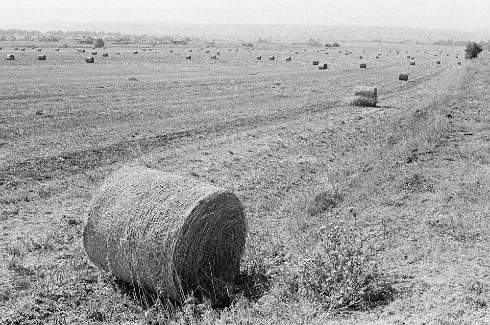 Photograph by Юлий Стремский