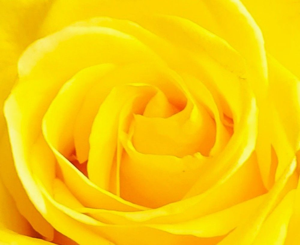 Фотография автора Елена Александрова