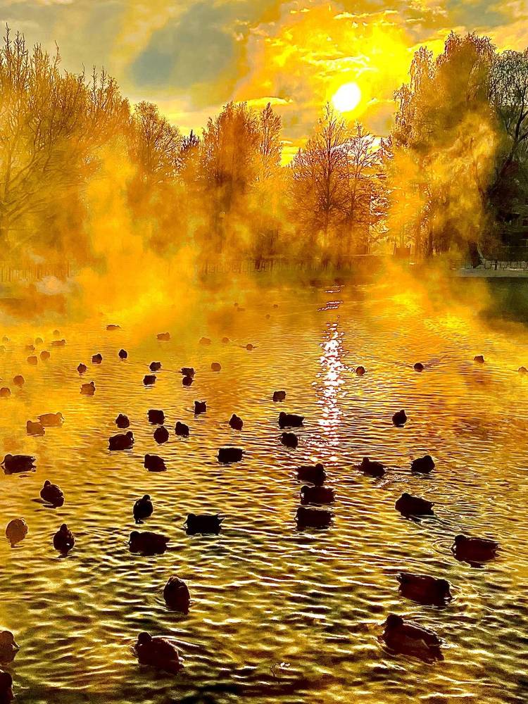 Photograph by Валерий Дьячков