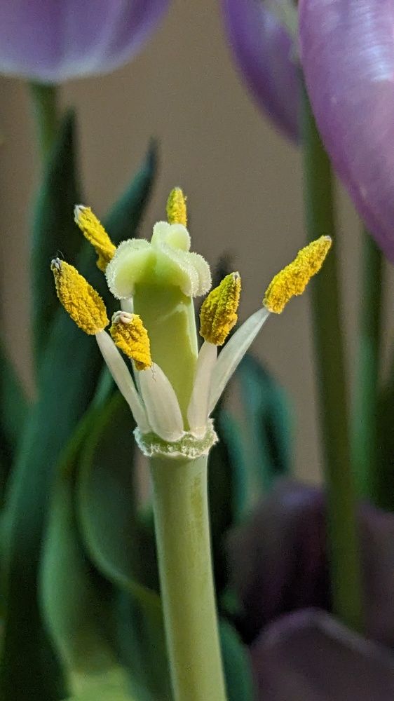 Photograph by Lilit Petrosyan