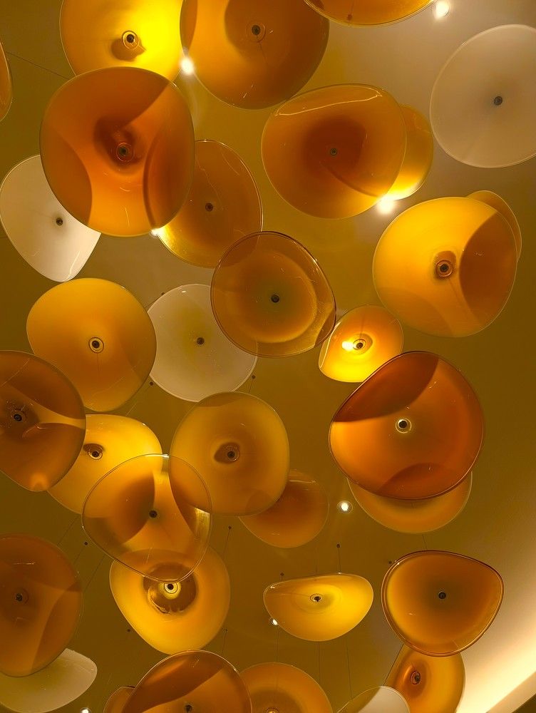 Фотография автора Елена Александрова