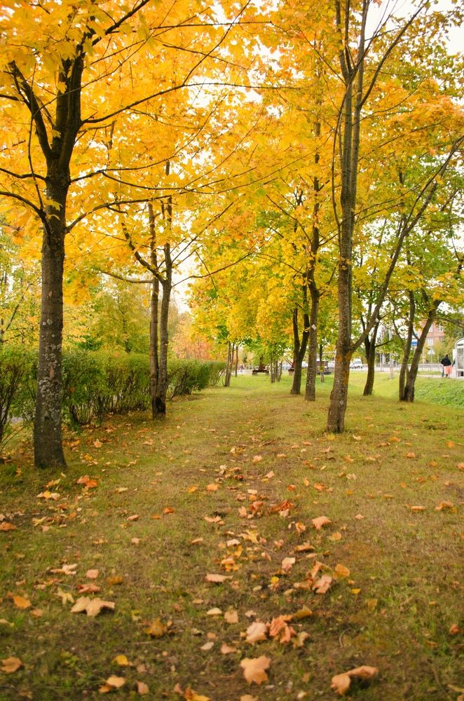 Photograph by Валентина Ивашова