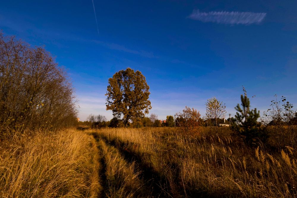 Photograph by Алексей Горин